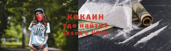 гашик Сясьстрой