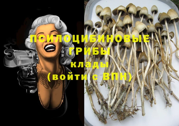 кокаин Тавда