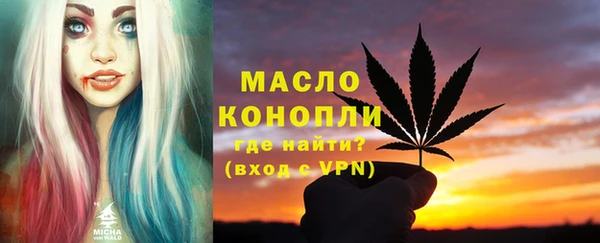 гашик Сясьстрой