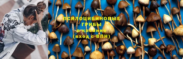 MESCALINE Тайга