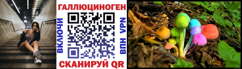 Галлюциногенные грибы Psilocybe  Купить где  Арзамас 